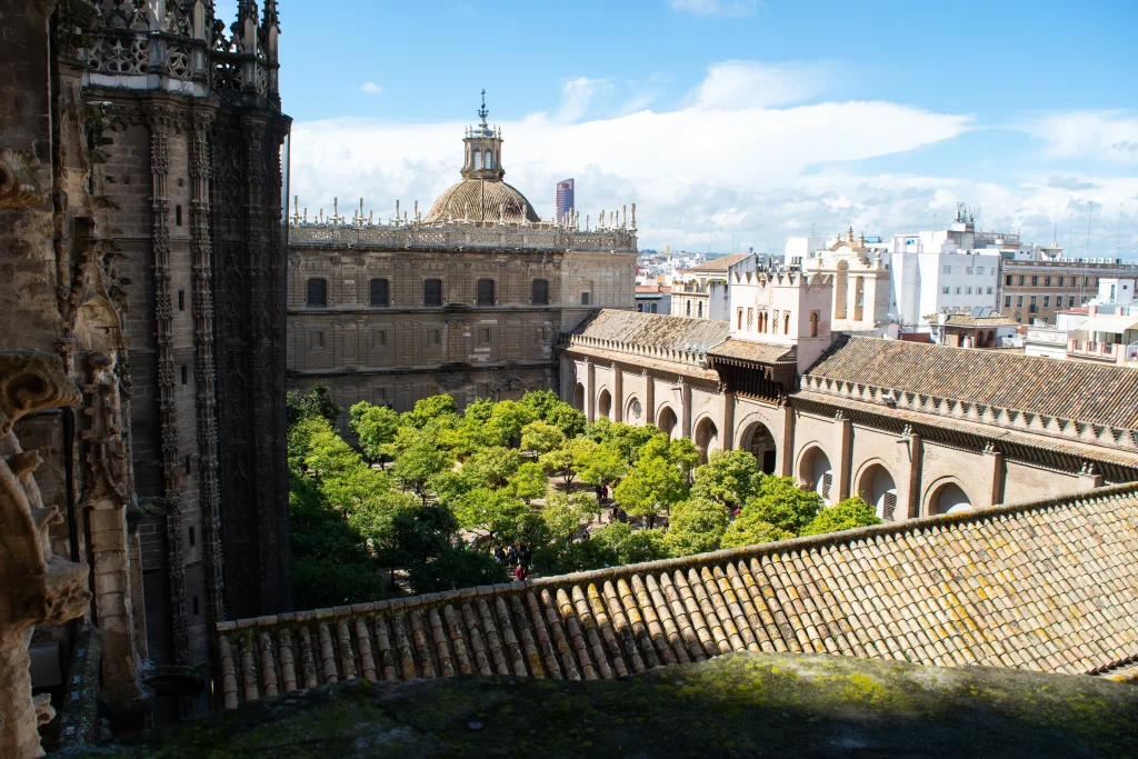 Patio de los naranjos. Catedral de Sevilla. Guiandote por Sevilla